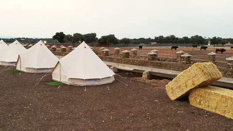 Glamping cerca de tu evento