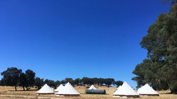 Glamping cerca de tu evento